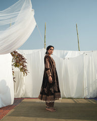 Dilkaarigari